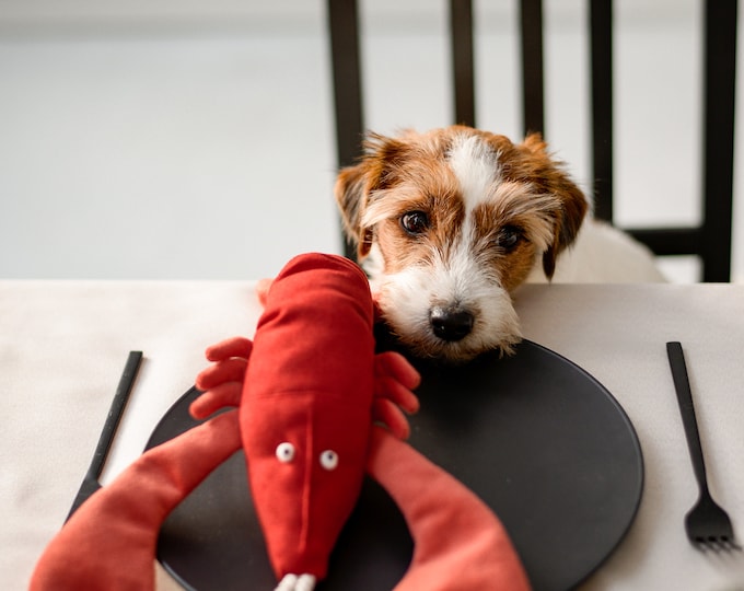 Rustling Toy For Dogs and Cats, Red Lobster Toy, Birthday Gift for Dogs, Pet Present, Unique Pet Xmas Presents