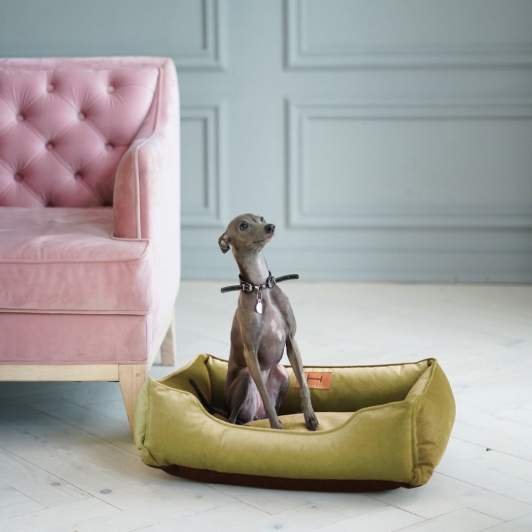 Sage Green Dog Velour Bed Plush Mat for Spitz Pet Bed Couch Etsy