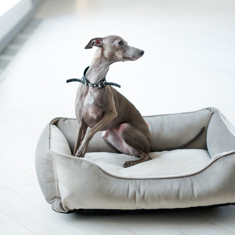 dog bed, dog bed large dogs, large dog bed, orthopedic dog bed, extra large dog bed, harley and cho, xl luxury dog bed, green dog bed, harleyandcho, modern pet bed, dog bed medium dog, xxl washable dog bed, dog couch sofa, dog bed puppy small dogs