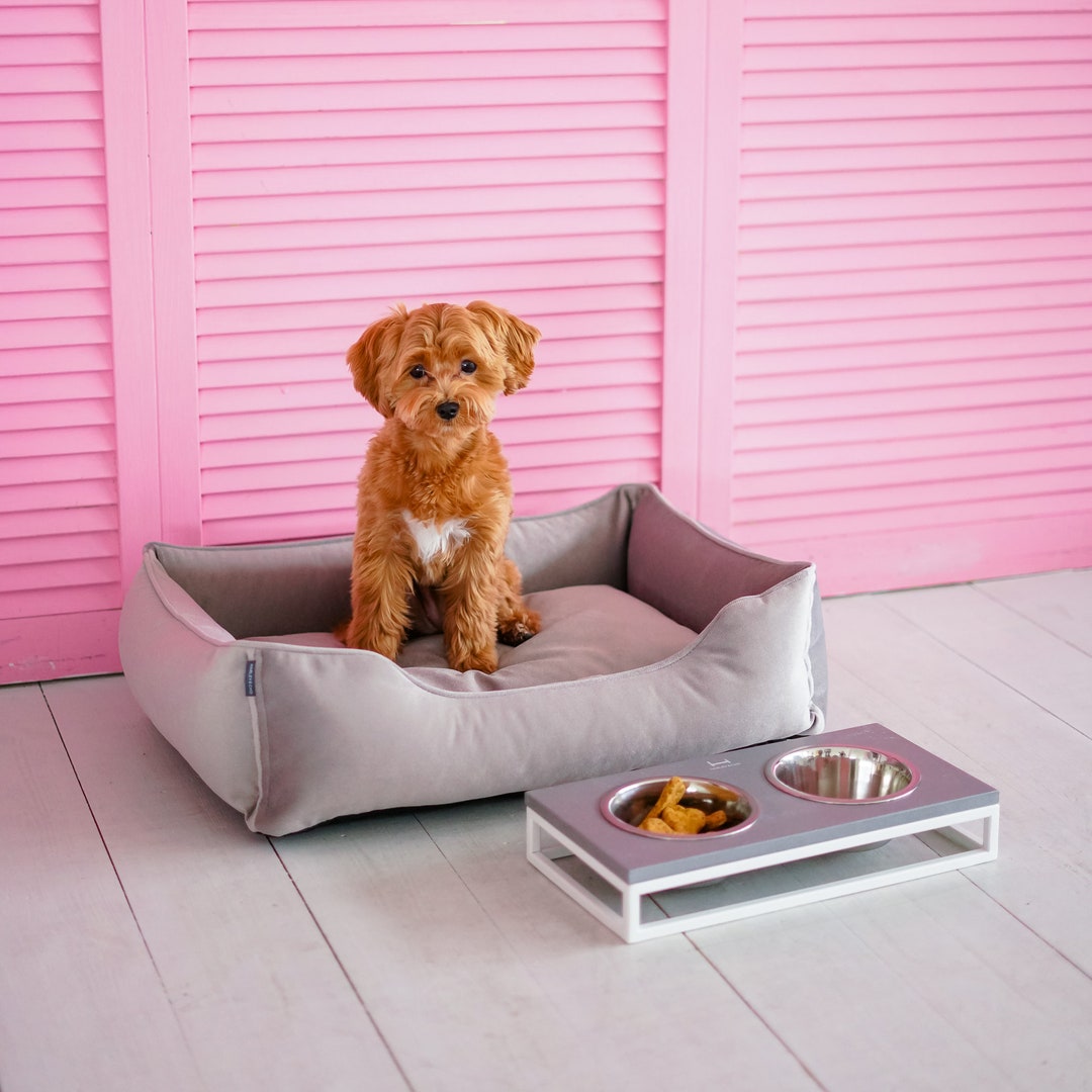 Gray Velvet Plush Dog Bed, Washable Cover, Anti Scratch Fabric, S-XXL ...