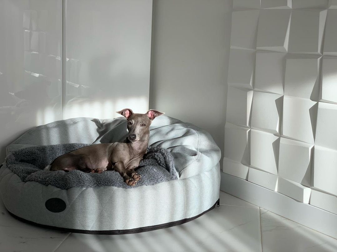 kuschelige hunde