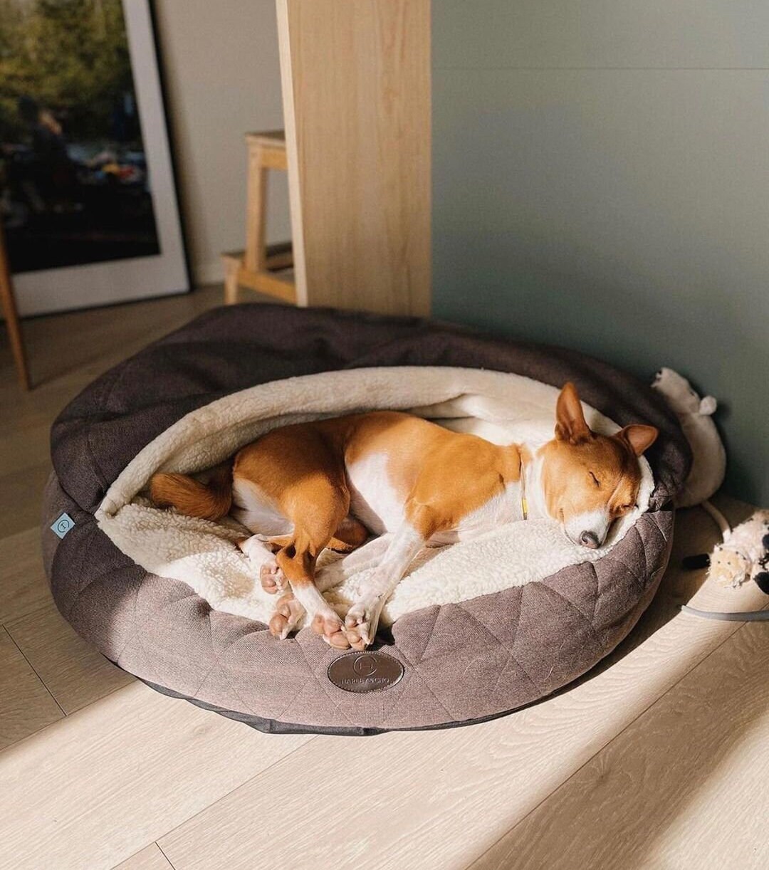 Utsadd Cama Cojin Para Perros Ikea Almohada En Forma De U Para