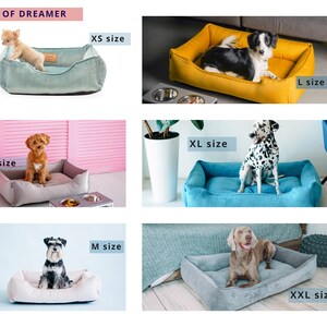 May include: A comparison of different sizes of dog beds. The beds are shown with dogs of various breeds and sizes. The sizes are labeled as XS, S, M, L, XL, and XXL.