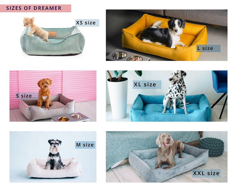May include: A comparison of different sizes of dog beds. The beds are shown with dogs of various breeds and sizes. The sizes are labeled as XS, S, M, L, XL, and XXL.