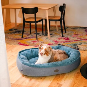 May include: A brown and white Australian Shepherd dog laying in a blue dog bed. The dog bed is on a wooden floor with a colorful rug in the background.