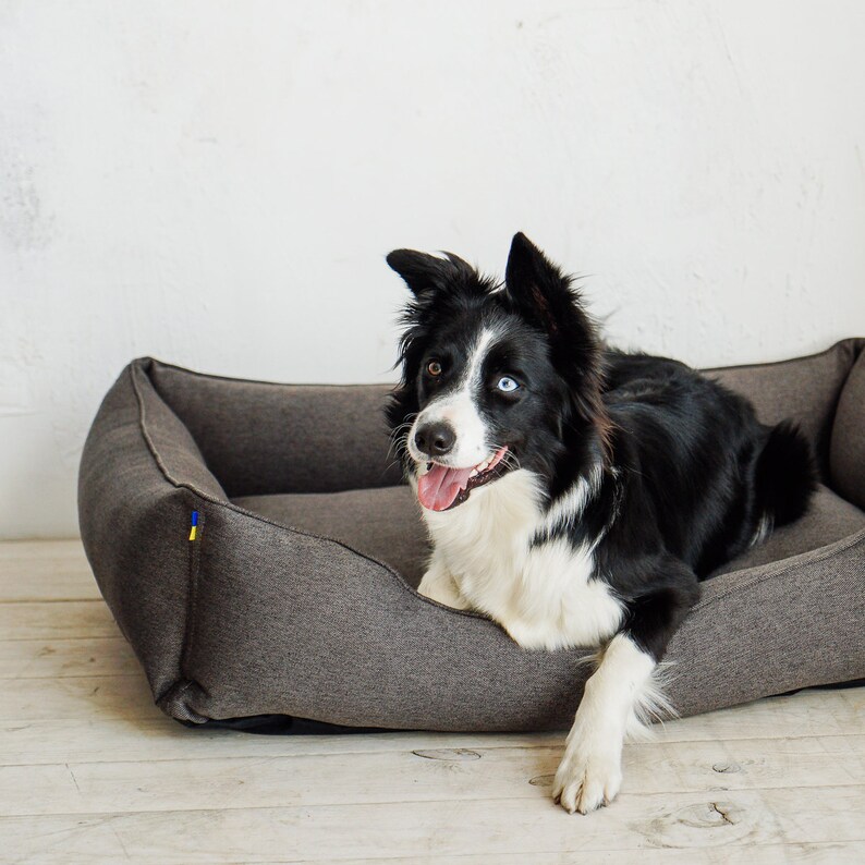 Dog mattress / Lounger Welsh bed / Australian shepherds Etsy