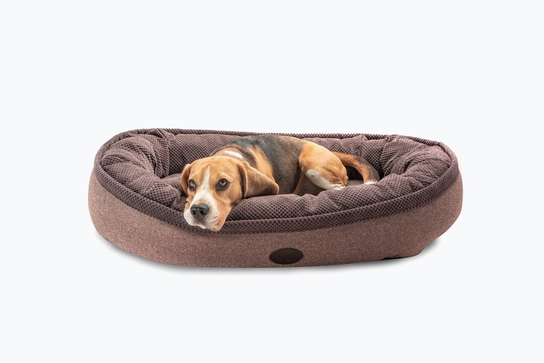 Dog Bed Comfortable Donut Cuddler Round Dog Bed Ultra Soft Washable Dog Bed Machine Washable