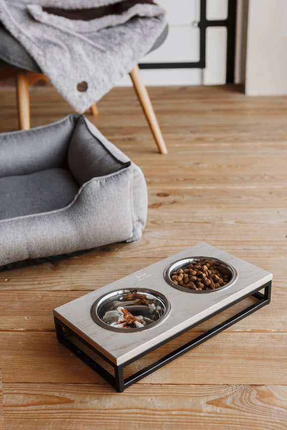 stone dog bowl