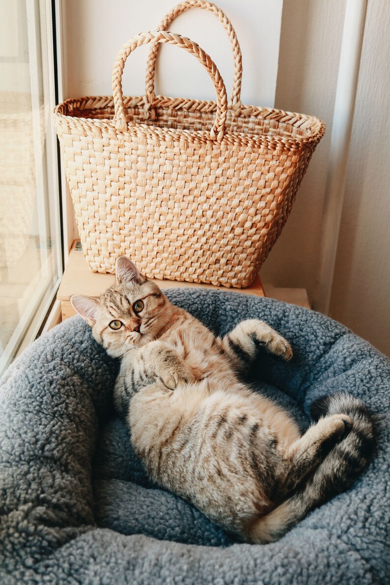 Puede incluir: Un gato atigrado tumbado en una cama de mascota gris y esponjosa. El gato est&aacute; mirando directamente a la c&aacute;mara. Una cesta de mimbre tejida est&aacute; en el fondo.