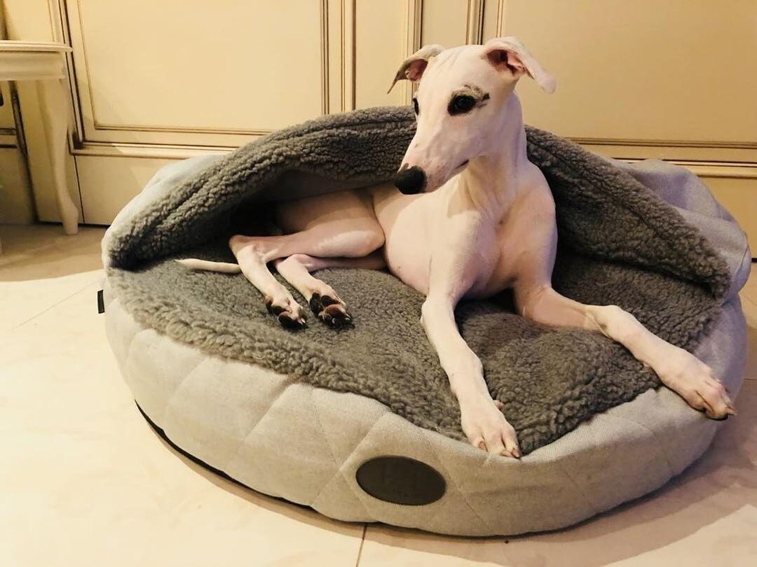 Plüschige Höhlenbett für Hund Betthöhle kuschelige Etsy