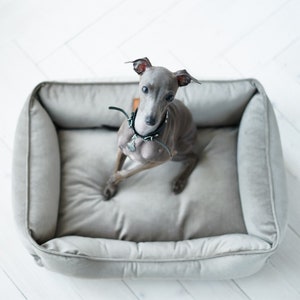 dog bed, dog bed large dogs, large dog bed, orthopedic dog bed, extra large dog bed, harley and cho, xl luxury dog bed, green dog bed, harleyandcho, modern pet bed, dog bed medium dog, xxl washable dog bed, dog couch sofa, dog bed puppy small dogs