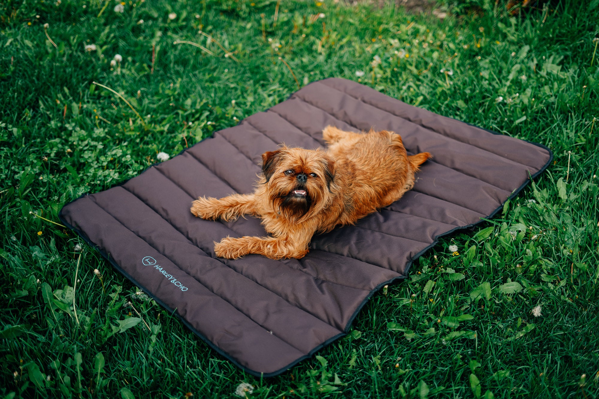 Catalonia Classic Waterproof Dog Mat, Portable Reversible Pet