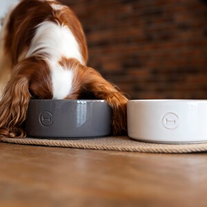 May include: A brown and white dog eats from a grey ceramic dog bowl. A white ceramic dog bowl is next to the grey bowl.