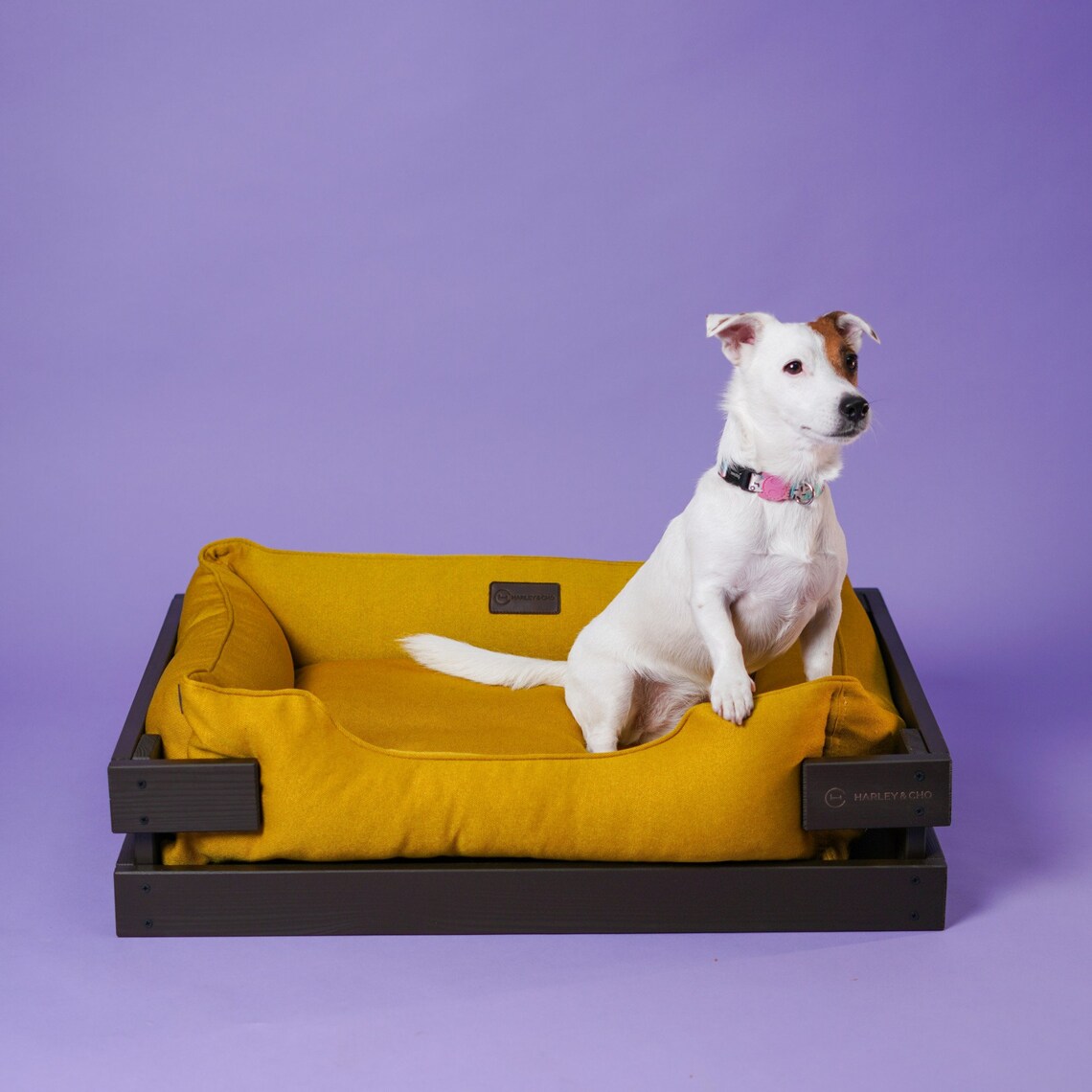 Dog bed wooden frame YELLOW lounger couch / Pet couche for Etsy