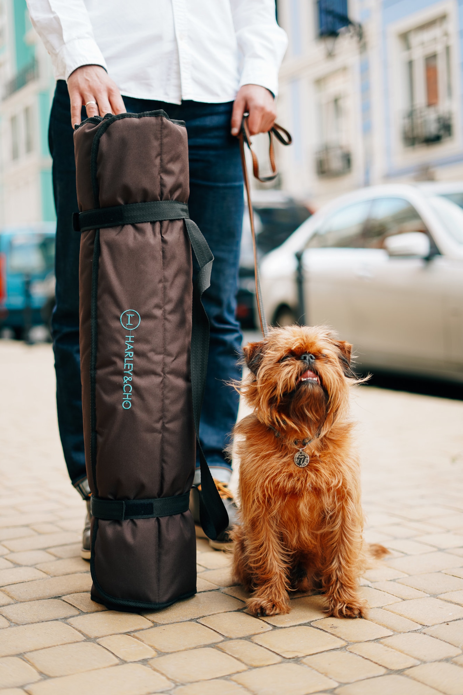 Dog Roll up Travel Mat Waterproof Dog Mat Portable Outdoor Etsy