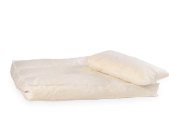 The insert pillow for the Memory Foam dog bed