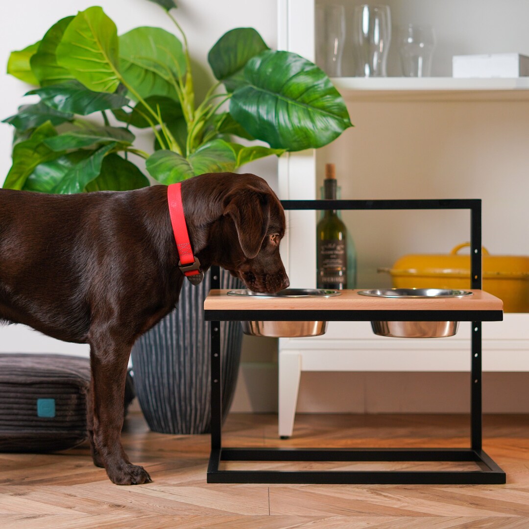 Dog Feeding Table, Raised Dog Bowls, Adjustable Elevated Dog Bowls for