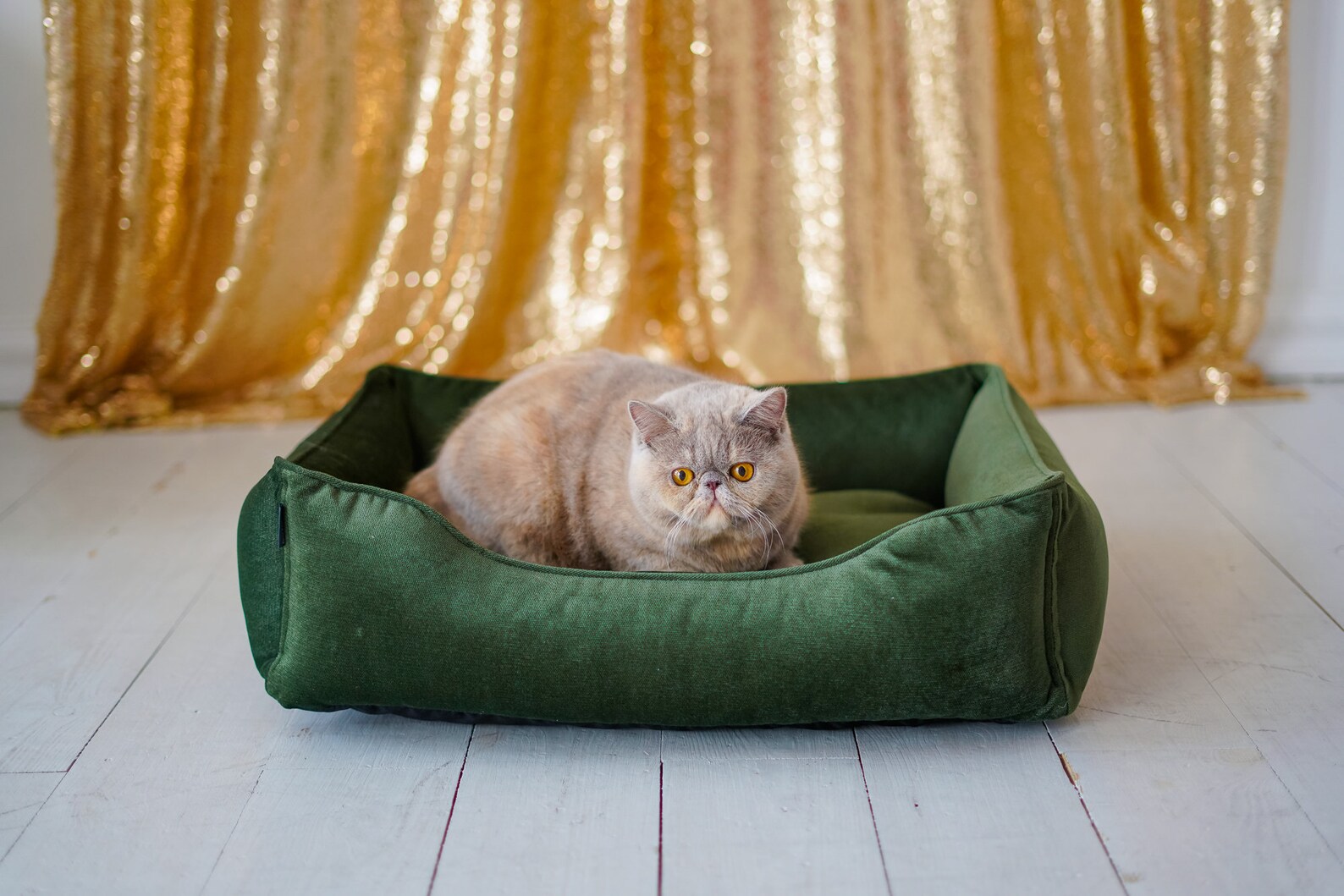 Cat Bed Emerald Green Velvet Cat floor pillow for modern Etsy