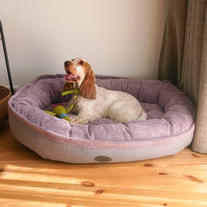 May include: A brown and white dog with a green collar is lying in a purple and gray dog bed. The dog bed is on a wooden floor.