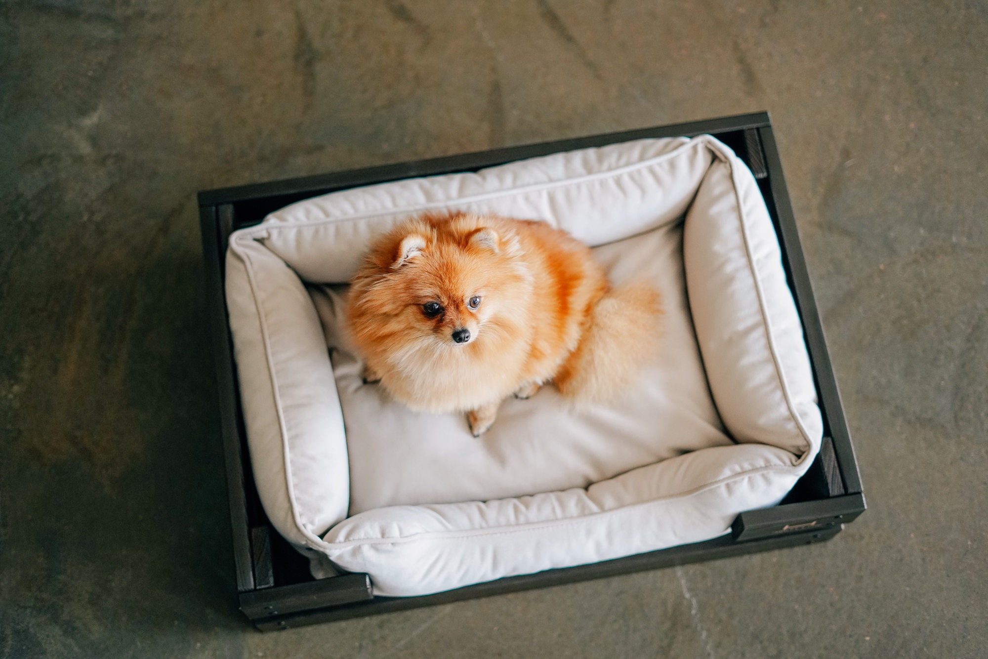 Wood frame dog bed for mini and large dogs Soft removable Etsy