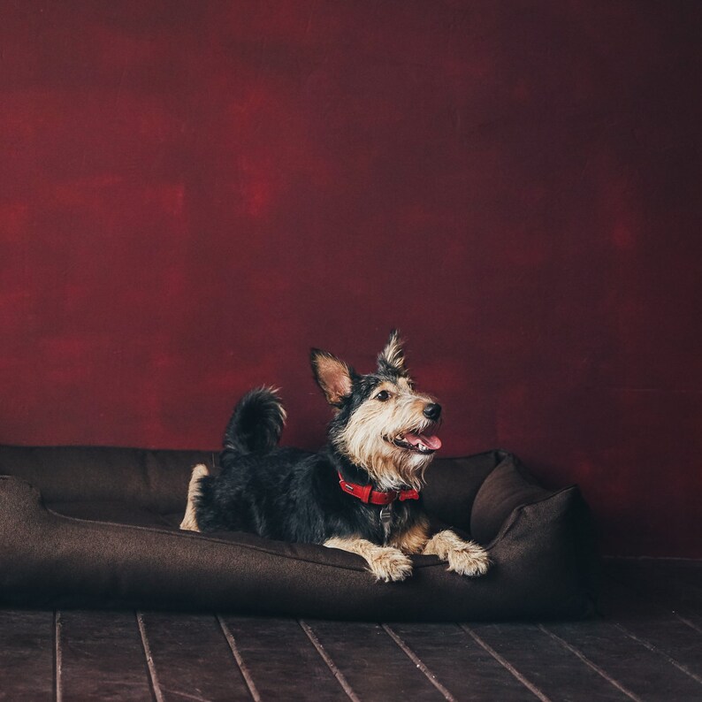 Dog mattress / Lounger Welsh bed / Australian shepherds Etsy