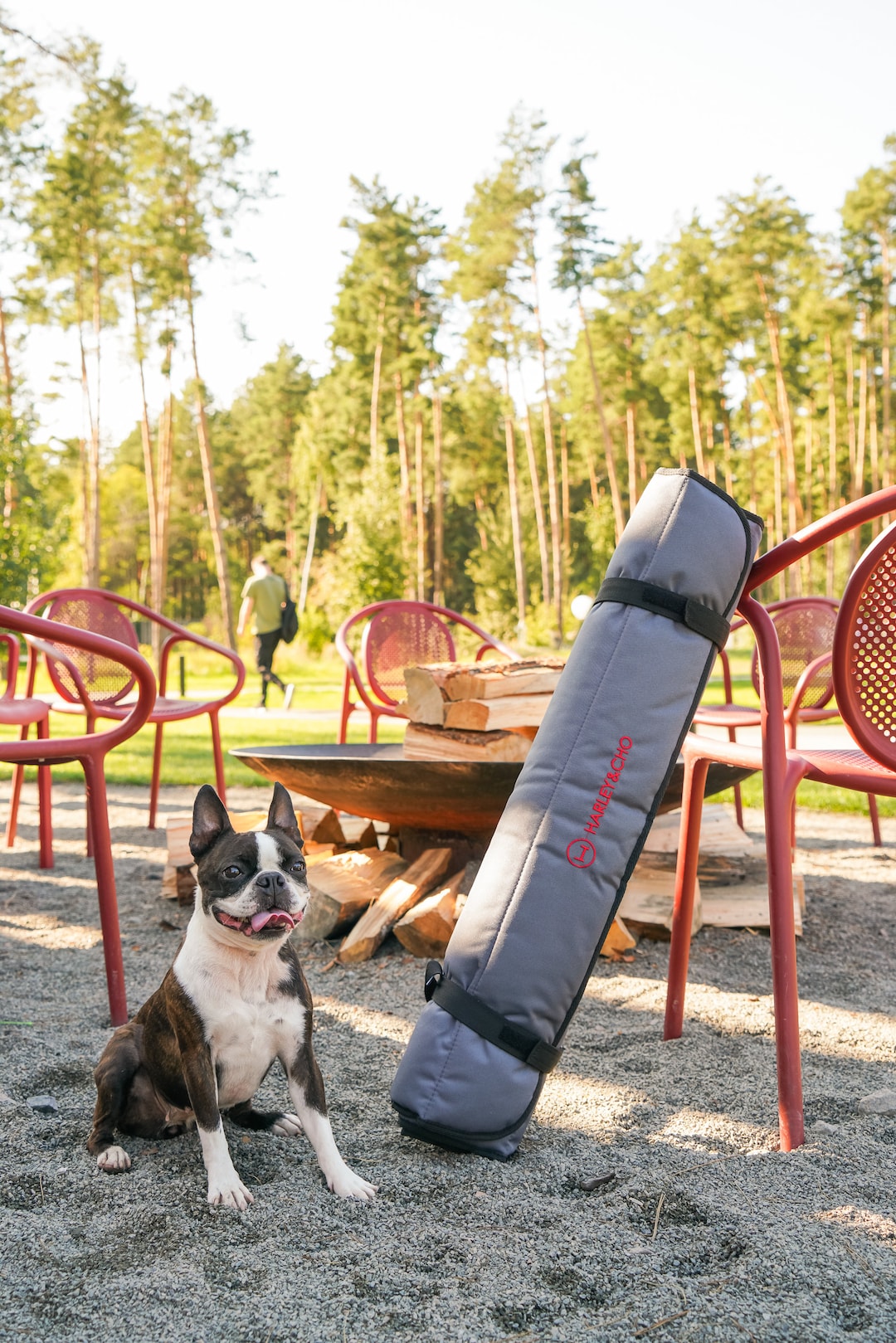 Travel Mat for Dog, Roll up Dog Mat for Walks, Waterproof Dog Outdoor