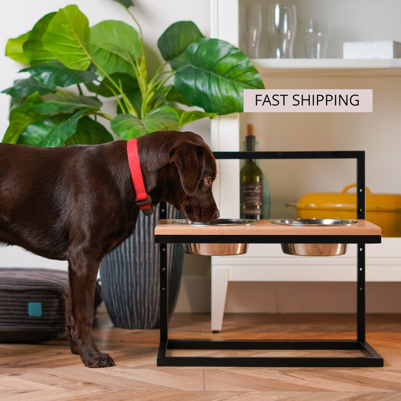 Elevated Dog BOWLS With Adjustable Stand Double Bowl Raised Etsy