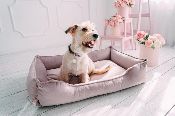 mini couch for dogs