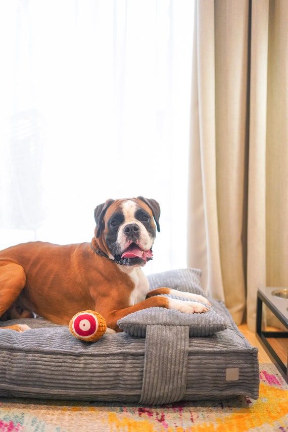 Grand Lit pour Chien en Mousse à Mémoire avec Housse Amovible et