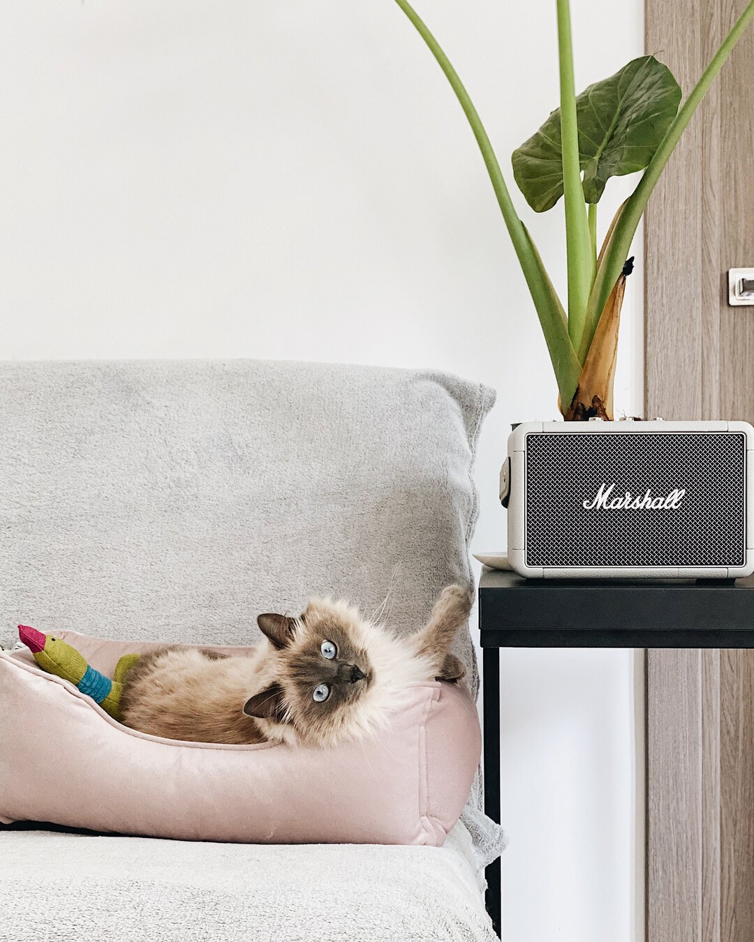 Cat Pillow, Dusty Pink Cat Bed, Velour Cat Bed, Light Cat Nest