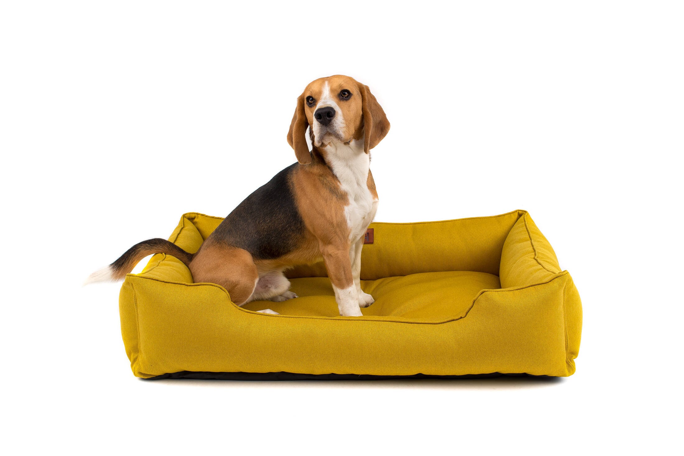 YELLOW Dog bed with removable cover / bright dog nest sunshine Etsy