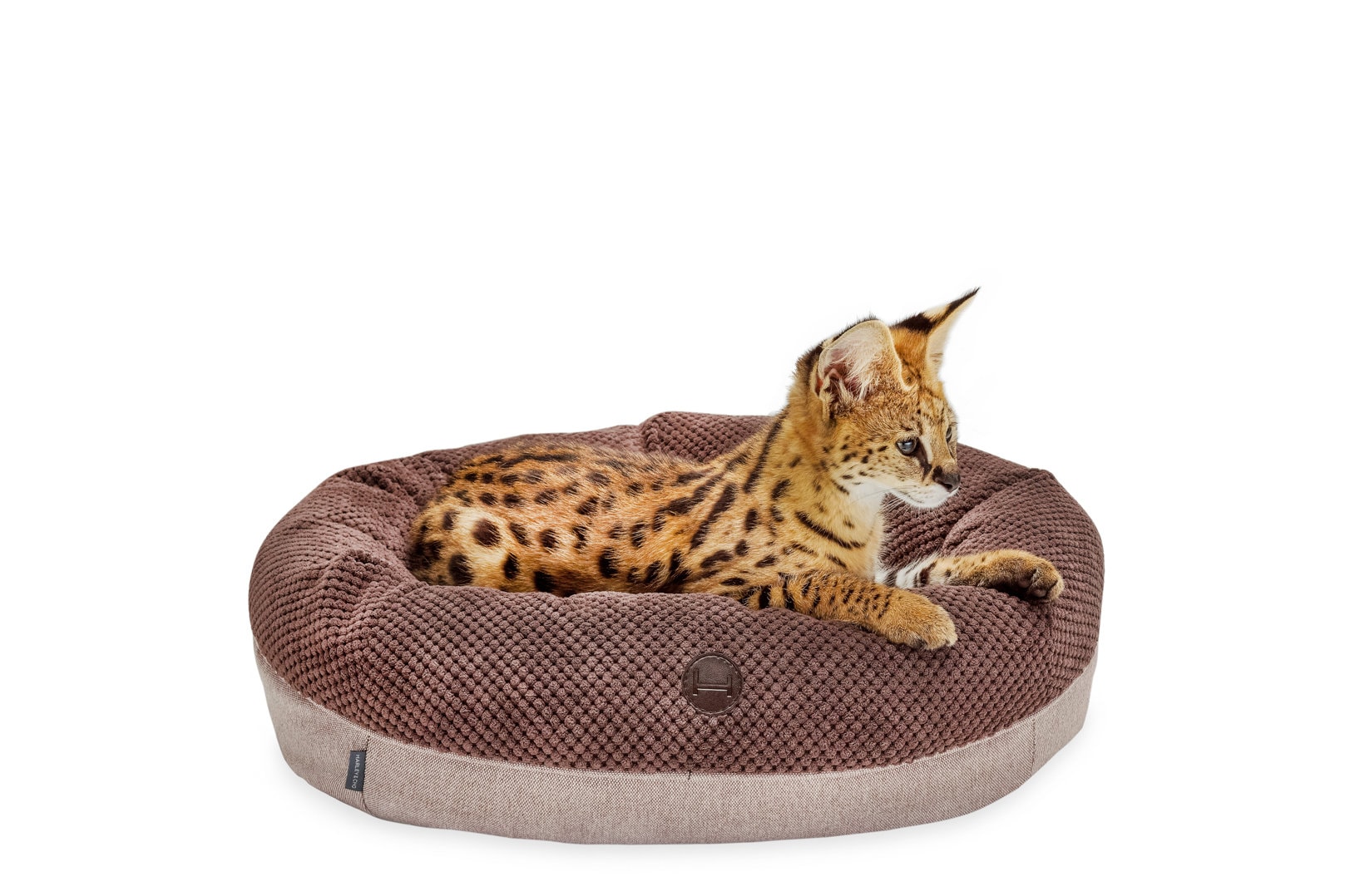 Donut Shaped Cat Bed Oval Cat Bed Brown Cat Bed Winter Cat Etsy UK