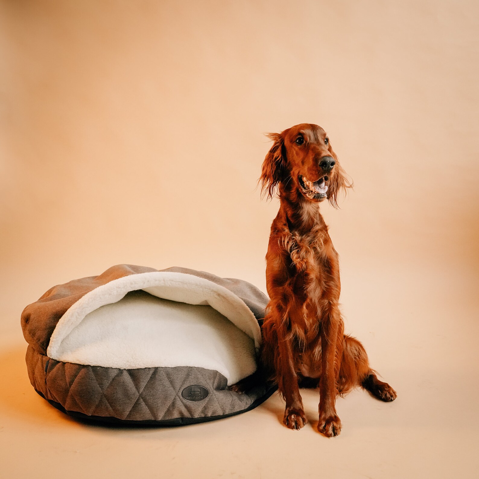 Pet Cave for Dog With Faux Fur Cuddle Cave Snuggle Cave Etsy Norway