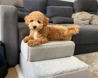 May include: A small, light brown dog sits on a two-step pet staircase. The staircase is covered in soft, light gray fabric. The dog is looking directly at the camera.
