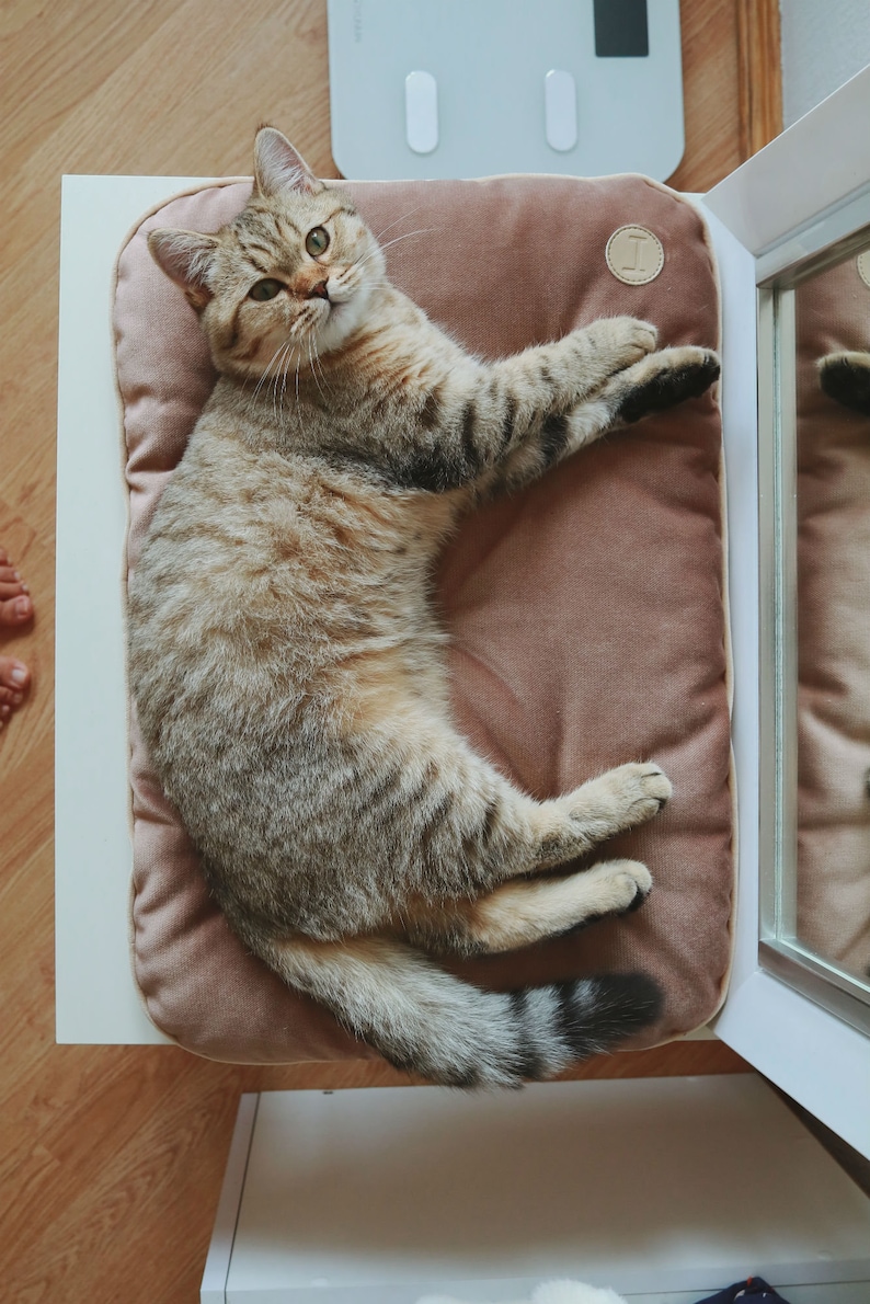 Cat Cushion Beige Cat Window Sill Cushion Modern Washable Etsy