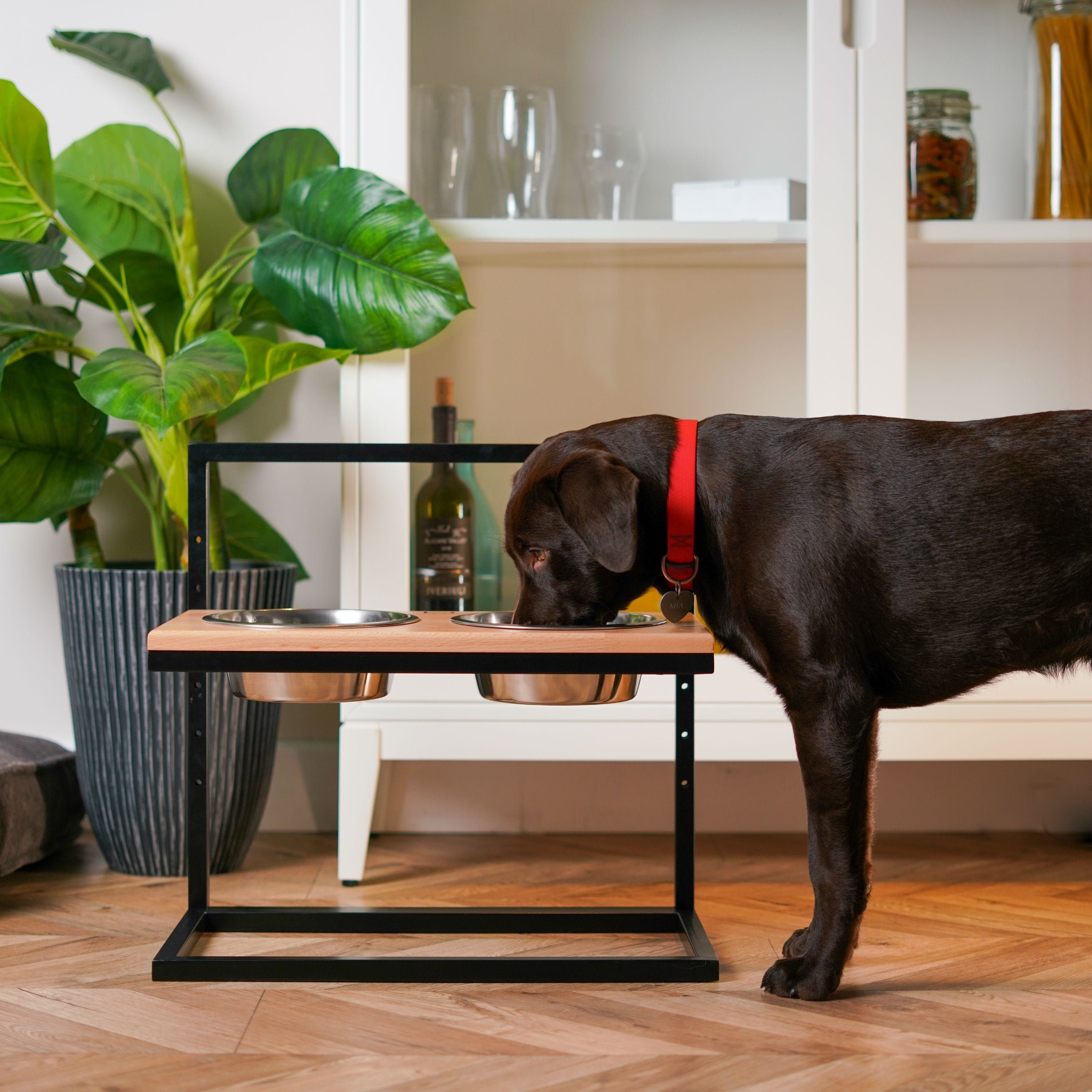 Elevated Dog Bowls, Adjustable Height Dog Bowls Double Bowls, Elevated  Puppy Feeder for Large Dog, Elevated Dog Bowl Food Water 