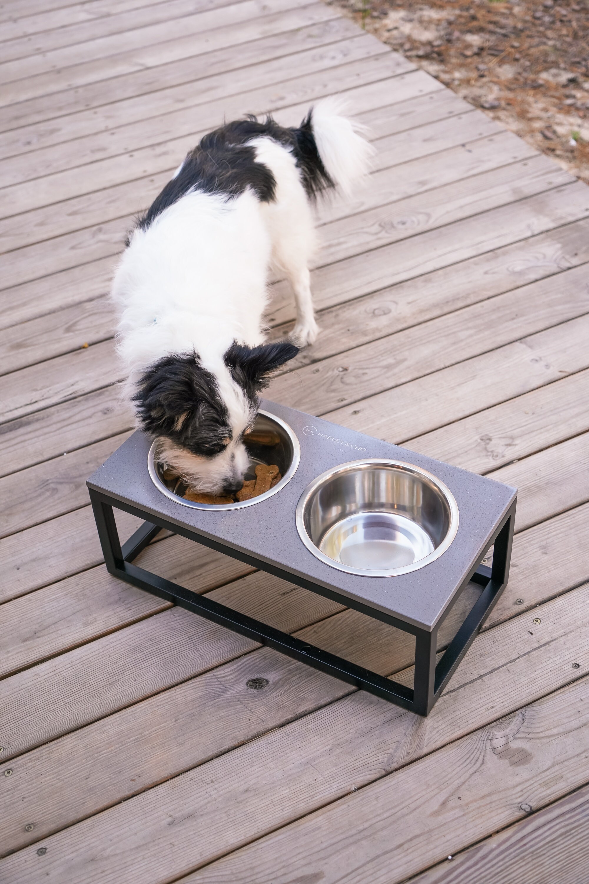 Dog Bowls + Stone Base