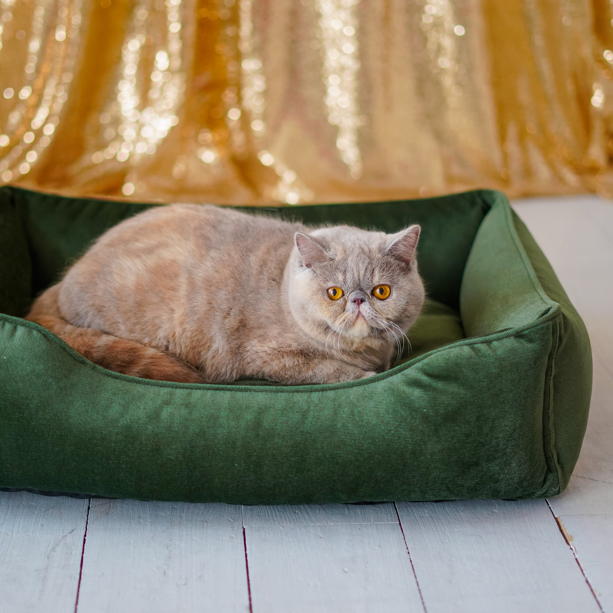 Cat Bed Emerald Green Velvet Cat Floor Pillow for Modern Etsy Australia