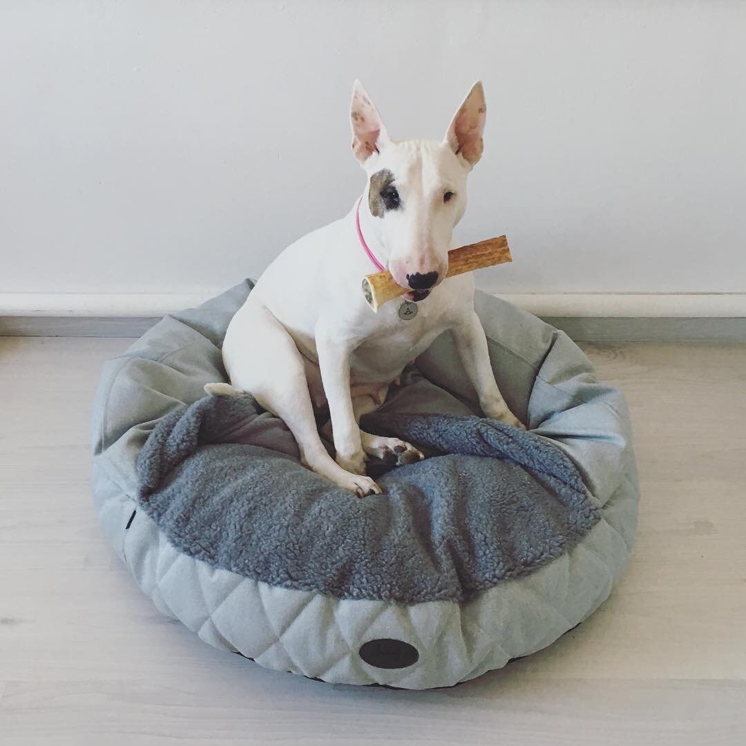 Plüschige Höhlenbett für Hund Betthöhle kuschelige Etsy