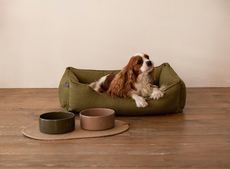 May include: A Cavalier King Charles Spaniel dog laying in a green dog bed with two green and brown ceramic dog bowls on a jute rug.