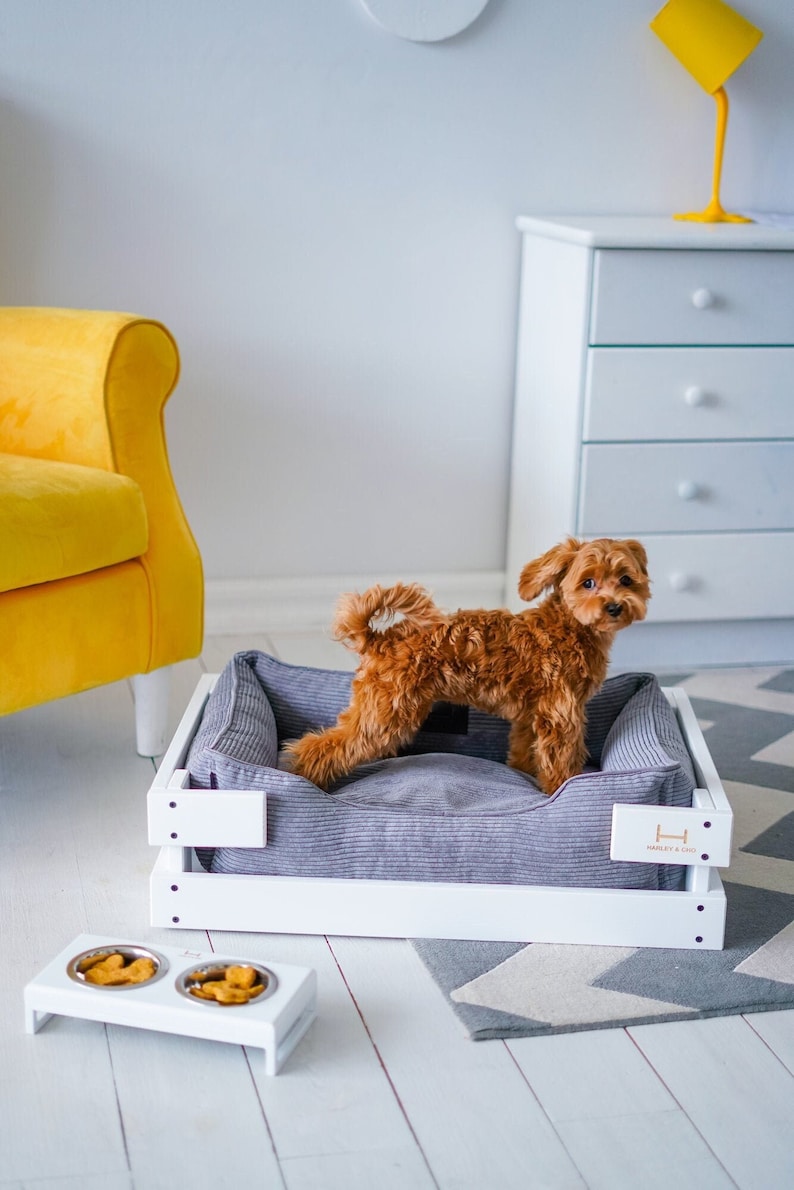 May include: A small brown dog standing in a white wooden dog bed with a gray corduroy cushion. The bed has the text "Marley & Co." on the side. The dog bed is on a white wooden floor with a gray and white patterned rug.