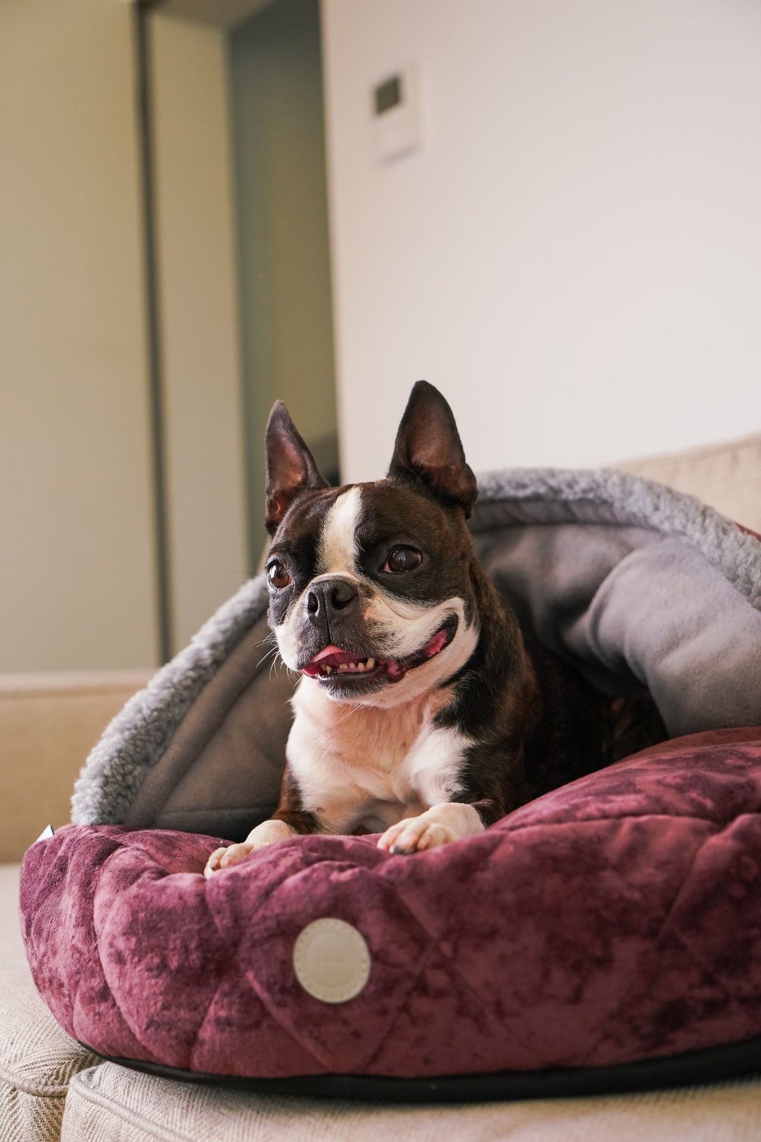 Cave Dog Bed With Washable Cover Cave Bed for Small and Large Etsy