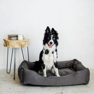 May include: A black and white Border Collie dog with one blue eye and one brown eye sits in a gray dog bed. The dog wears headphones around its neck. A small wooden side table with books and a mug is to the left.