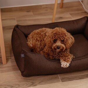May include: A brown dog bed with a small, curly-haired dog resting inside. The dog bed is a dark brown color and has a rectangular shape with raised sides. The dog has brown fur and is lying down, looking at the camera.