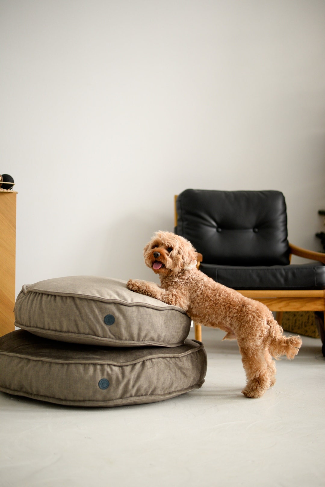 Grey Round Floor Cushion Bed for Middle Dogs Soft Dog Bed Etsy