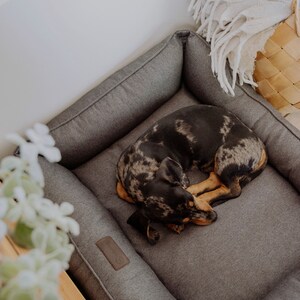 dog bed, dog bed large dogs, large dog bed, orthopedic dog bed, extra large dog bed, harley and cho, xl luxury dog bed, green dog bed, harleyandcho, modern pet bed, dog bed medium dog, xxl washable dog bed, dog couch sofa, dog bed puppy small dogs