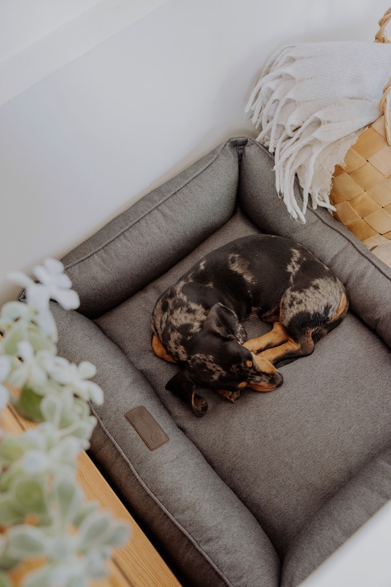 dog bed, dog bed large dogs, large dog bed, orthopedic dog bed, extra large dog bed, harley and cho, xl luxury dog bed, green dog bed, harleyandcho, modern pet bed, dog bed medium dog, xxl washable dog bed, dog couch sofa, dog bed puppy small dogs