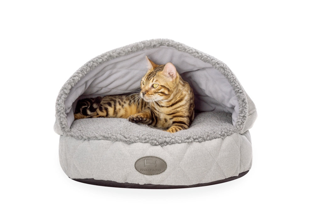 Cuccia Per Animali Taglia M Cuccia Per Cani 2 In 1 Impermeabile - Letto Grotta Con Cuscino Rimovibile Lettino Animali Domestici - 4