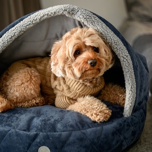 May include: A small, tan-colored dog wearing a cable-knit sweater rests inside a navy blue pet bed. The bed has a quilted pattern and a soft, gray, faux-fur lining around the hood. A small, circular emblem is visible on the front of the bed.