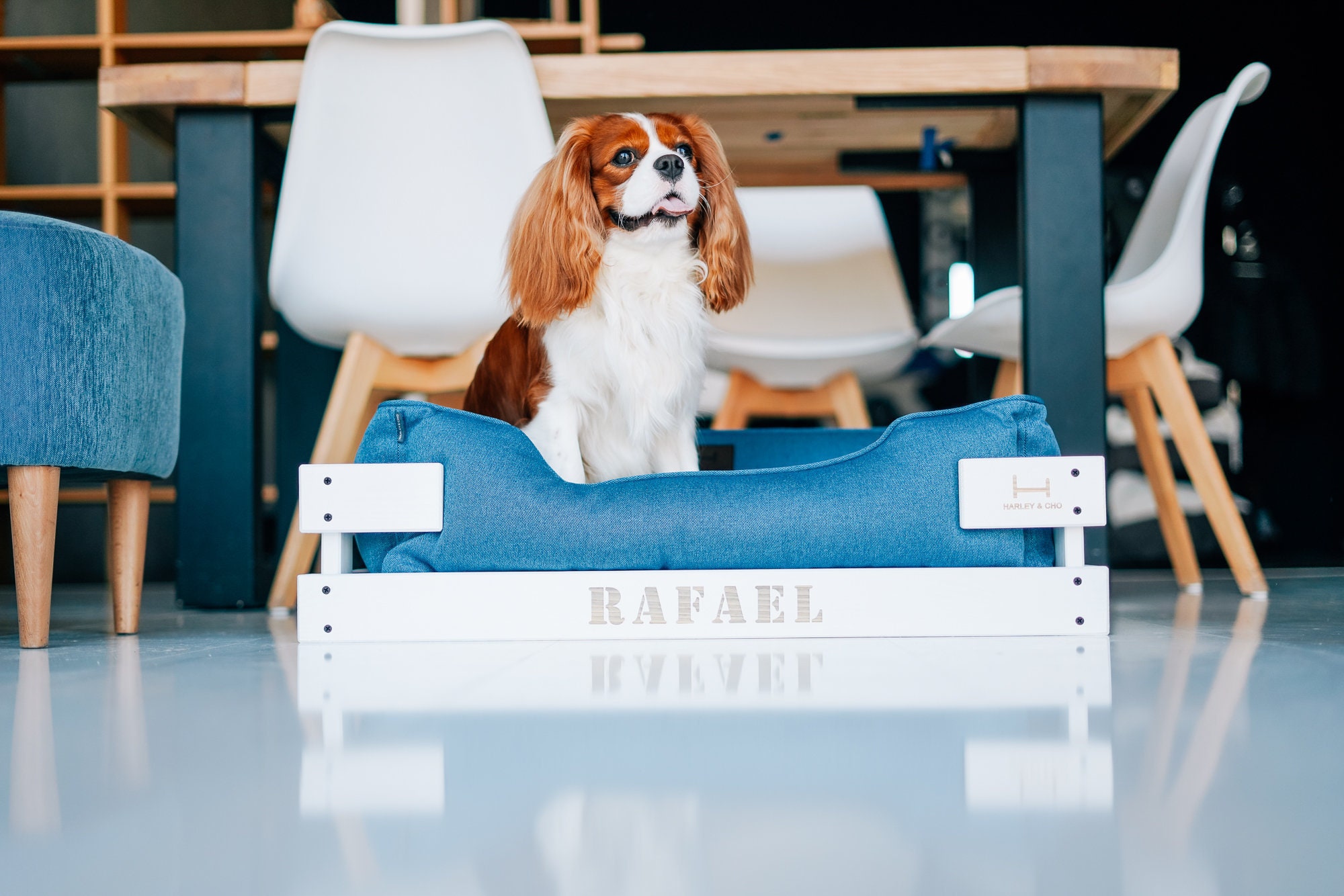 Personalized pet bed with wooden frame for dog and cats Etsy